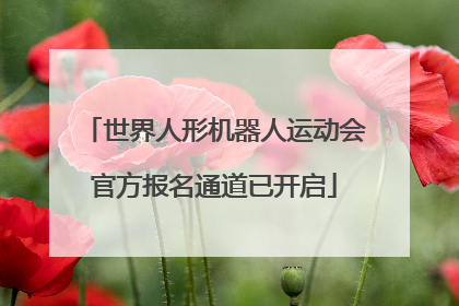 世界人形机器人运动会官方报名通道已开启