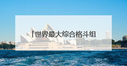 世界最大综合格斗组织重启上海站 UFC格斗之夜8月上演