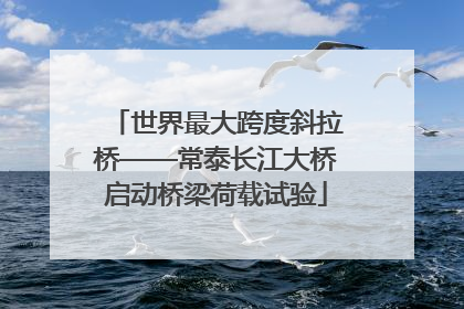 世界最大跨度斜拉桥——常泰长江大桥启动桥梁荷载试验