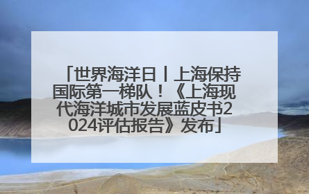 世界海洋日丨上海保持国际第一梯队！《上海现代海洋城市发展蓝皮书2024评估报告》发布