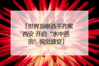 世界顶级选手齐聚西安 开启“水中芭蕾”视觉盛宴