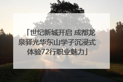 世纪新城开启 成都龙泉驿光华东山学子沉浸式体验72行职业魅力