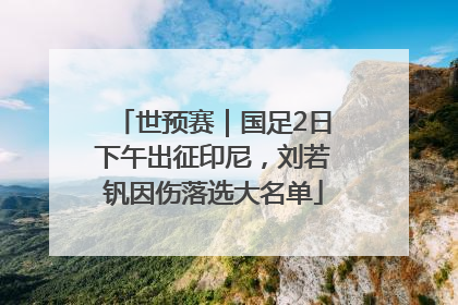 世预赛｜国足2日下午出征印尼，刘若钒因伤落选大名单