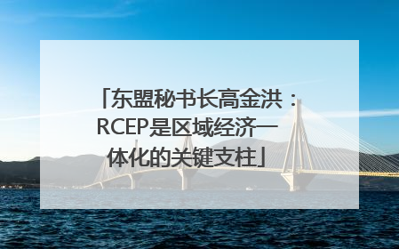 东盟秘书长高金洪：RCEP是区域经济一体化的关键支柱