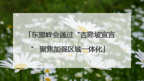 东盟峰会通过“吉隆坡宣言” 聚焦加强区域一体化