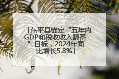 东平县锚定“五年内GDP和税收收入翻番”目标，2024年同比增长5.8%