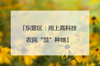 东营区：用上高科技 农民“慧”种地