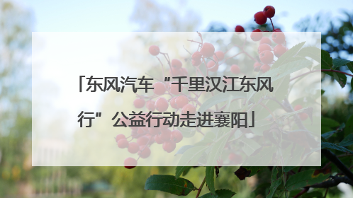 东风汽车“千里汉江东风行”公益行动走进襄阳