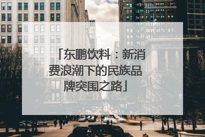 东鹏饮料：新消费浪潮下的民族品牌突围之路