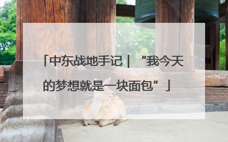 中东战地手记｜“我今天的梦想就是一块面包”