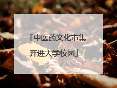 中医药文化市集开进大学校园