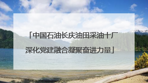 中国石油长庆油田采油十厂深化党建融合凝聚奋进力量