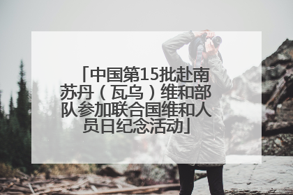 中国第15批赴南苏丹（瓦乌）维和部队参加联合国维和人员日纪念活动