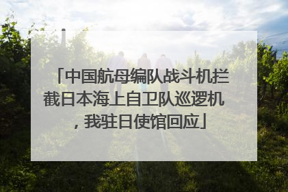 中国航母编队战斗机拦截日本海上自卫队巡逻机，我驻日使馆回应