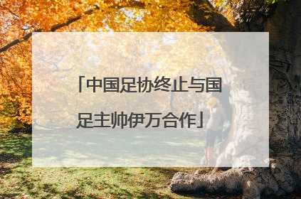 中国足协终止与国足主帅伊万合作
