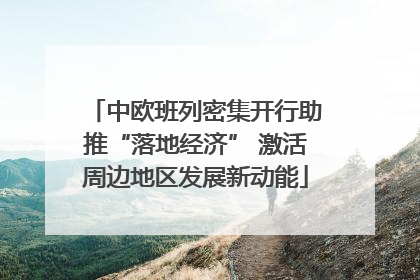 中欧班列密集开行助推“落地经济” 激活周边地区发展新动能