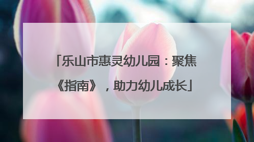 乐山市惠灵幼儿园：聚焦《指南》，助力幼儿成长