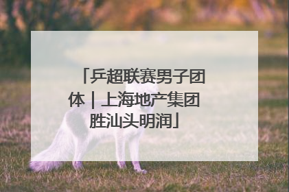 乒超联赛男子团体｜上海地产集团胜汕头明润