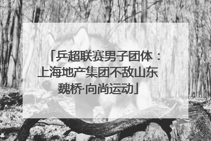 乒超联赛男子团体：上海地产集团不敌山东魏桥·向尚运动