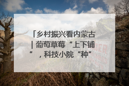 乡村振兴看内蒙古｜葡萄草莓“上下铺”，科技小院“种”出三倍效益