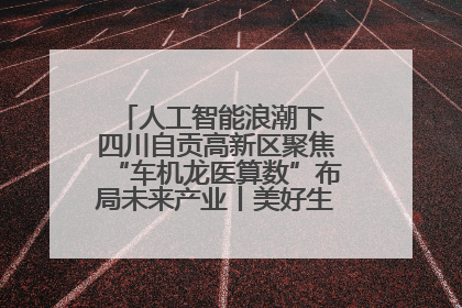 人工智能浪潮下 四川自贡高新区聚焦“车机龙医算数”布局未来产业丨美好生活有“盐”味
