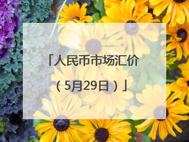 人民币市场汇价（5月29日）