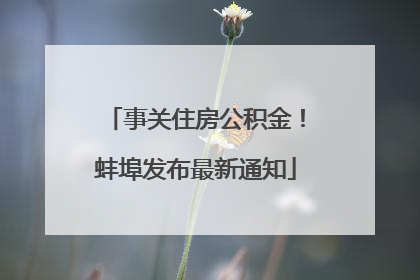 事关住房公积金！蚌埠发布最新通知