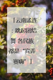 云南孟连：跳起团结舞 各民族都是“宾弄赛嗨”