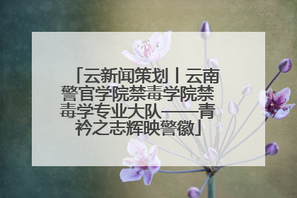 云新闻策划丨云南警官学院禁毒学院禁毒学专业大队——青衿之志辉映警徽
