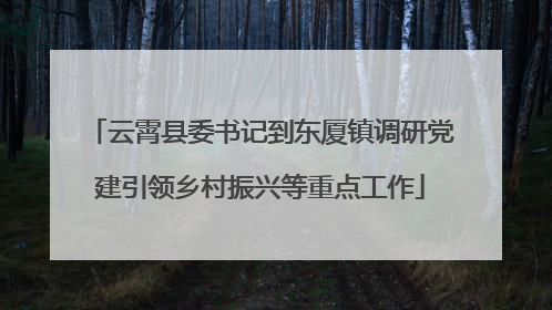 云霄县委书记到东厦镇调研党建引领乡村振兴等重点工作