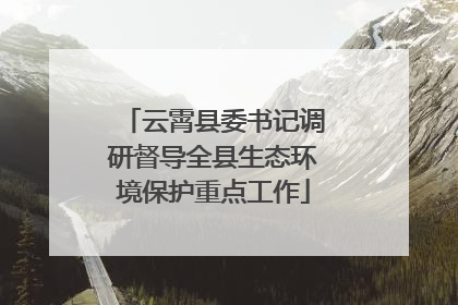 云霄县委书记调研督导全县生态环境保护重点工作