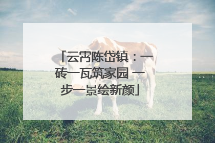 云霄陈岱镇：一砖一瓦筑家园 一步一景绘新颜