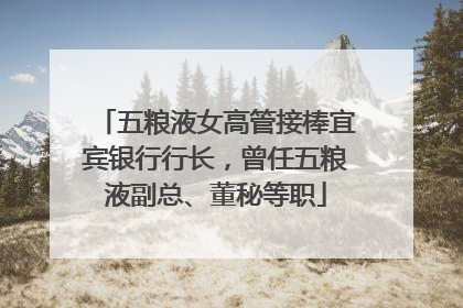 五粮液女高管接棒宜宾银行行长，曾任五粮液副总、董秘等职