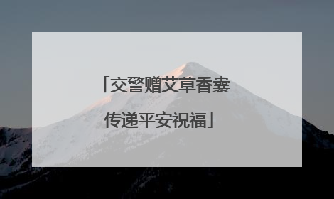 交警赠艾草香囊 传递平安祝福