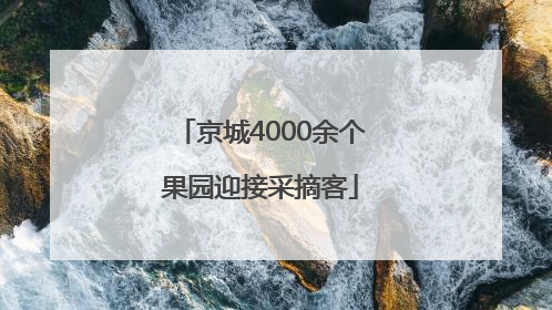 京城4000余个果园迎接采摘客