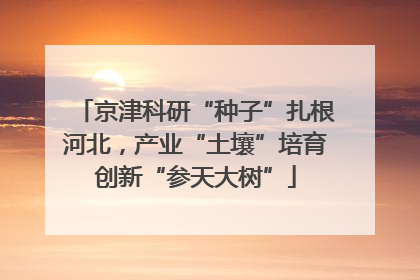 京津科研“种子”扎根河北，产业“土壤”培育创新“参天大树”