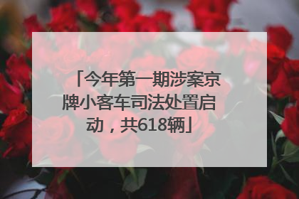 今年第一期涉案京牌小客车司法处置启动，共618辆