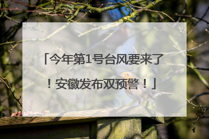今年第1号台风要来了！安徽发布双预警！