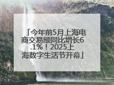 今年前5月上海电商交易额同比增长6.1%！2025上海数字生活节开幕