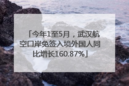 今年1至5月，武汉航空口岸免签入境外国人同比增长160.87%