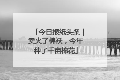 今日报纸头条｜卖火了棉袄，今年种了千亩棉花