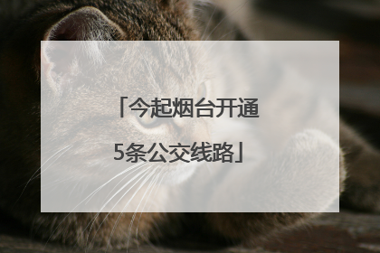 今起烟台开通5条公交线路