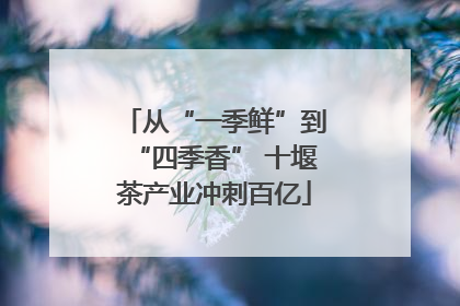 从“一季鲜”到“四季香” 十堰茶产业冲刺百亿