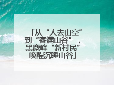 从“人去山空”到“客满山谷”，黑麋峰“新村民”唤醒沉睡山谷