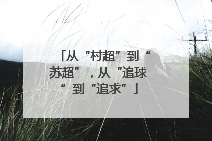 从“村超”到“苏超”，从“追球”到“追求”