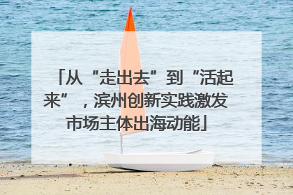 从“走出去”到“活起来”，滨州创新实践激发市场主体出海动能