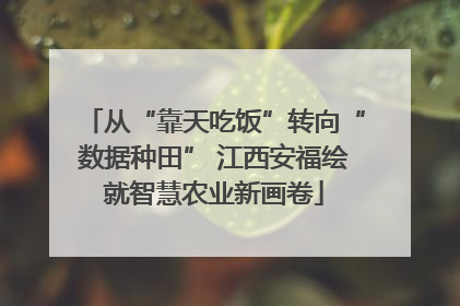 从“靠天吃饭”转向“数据种田” 江西安福绘就智慧农业新画卷