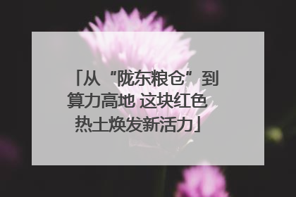 从“陇东粮仓”到算力高地 这块红色热土焕发新活力