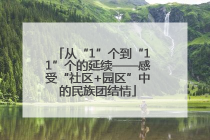 从“1”个到“11”个的延续——感受“社区+园区”中的民族团结情