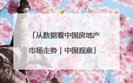 从数据看中国房地产市场走势｜中国观察